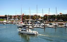 Yachts in La Marina Mazatlan